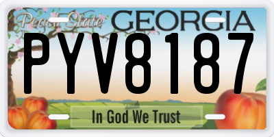 GA license plate PYV8187