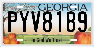 GA license plate PYV8189