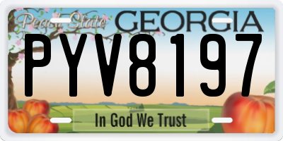 GA license plate PYV8197