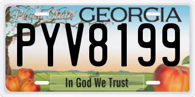GA license plate PYV8199