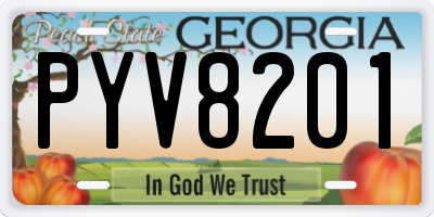 GA license plate PYV8201