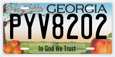 GA license plate PYV8202