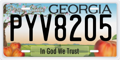 GA license plate PYV8205