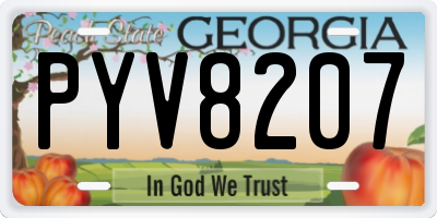 GA license plate PYV8207