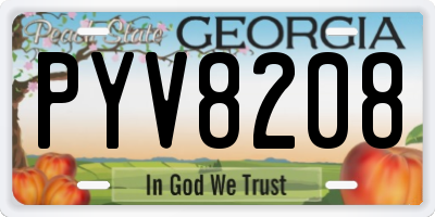 GA license plate PYV8208