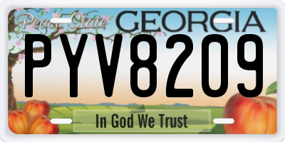 GA license plate PYV8209