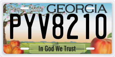 GA license plate PYV8210