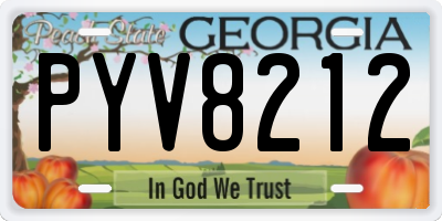 GA license plate PYV8212