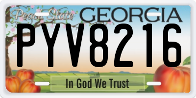 GA license plate PYV8216