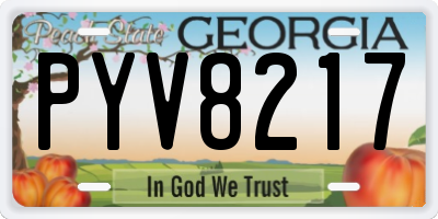 GA license plate PYV8217