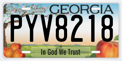 GA license plate PYV8218