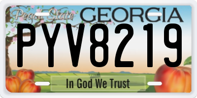 GA license plate PYV8219