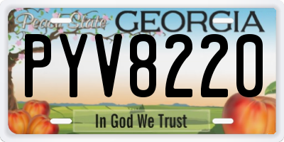 GA license plate PYV8220