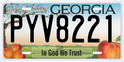 GA license plate PYV8221