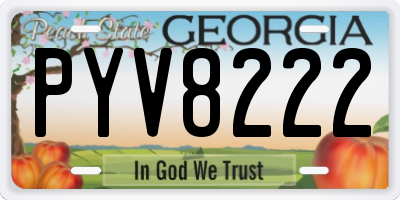 GA license plate PYV8222