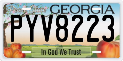 GA license plate PYV8223