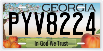 GA license plate PYV8224