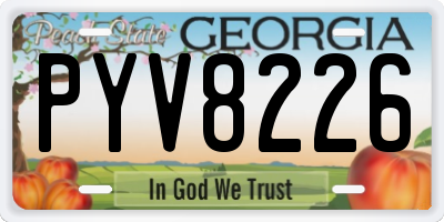 GA license plate PYV8226