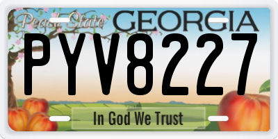 GA license plate PYV8227