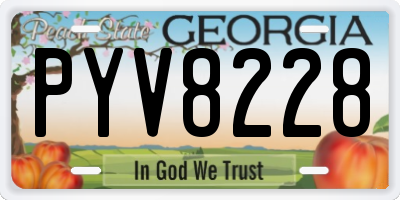GA license plate PYV8228