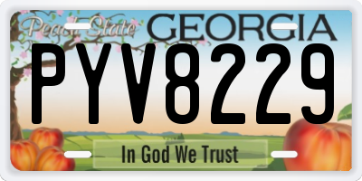 GA license plate PYV8229