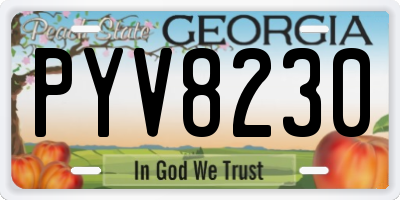 GA license plate PYV8230