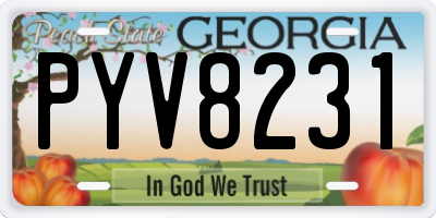 GA license plate PYV8231