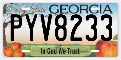 GA license plate PYV8233