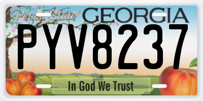 GA license plate PYV8237