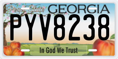 GA license plate PYV8238
