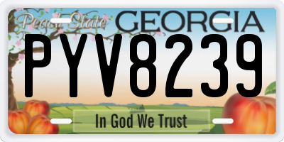 GA license plate PYV8239