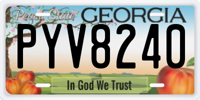 GA license plate PYV8240
