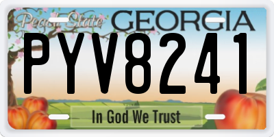 GA license plate PYV8241