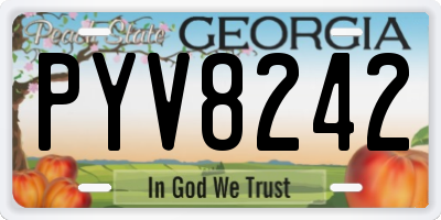 GA license plate PYV8242