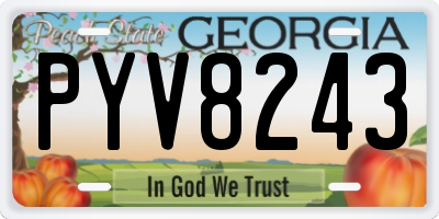 GA license plate PYV8243
