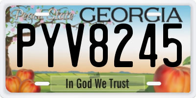 GA license plate PYV8245