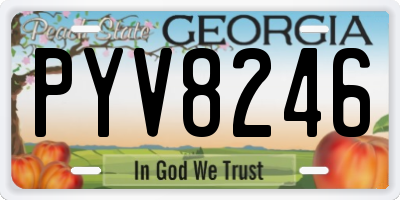 GA license plate PYV8246