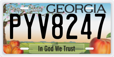 GA license plate PYV8247