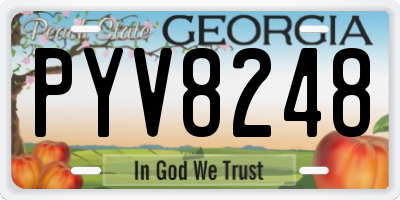 GA license plate PYV8248