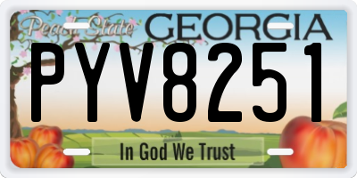 GA license plate PYV8251