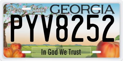 GA license plate PYV8252
