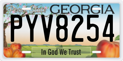 GA license plate PYV8254
