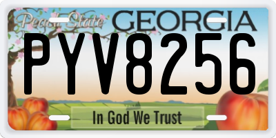 GA license plate PYV8256