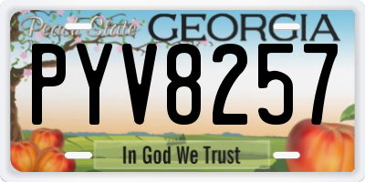 GA license plate PYV8257