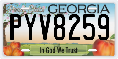 GA license plate PYV8259