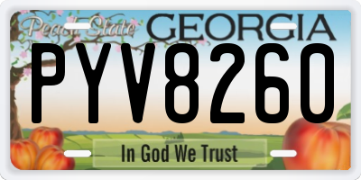 GA license plate PYV8260