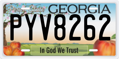 GA license plate PYV8262