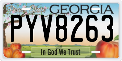 GA license plate PYV8263