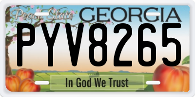 GA license plate PYV8265