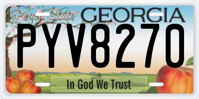 GA license plate PYV8270
